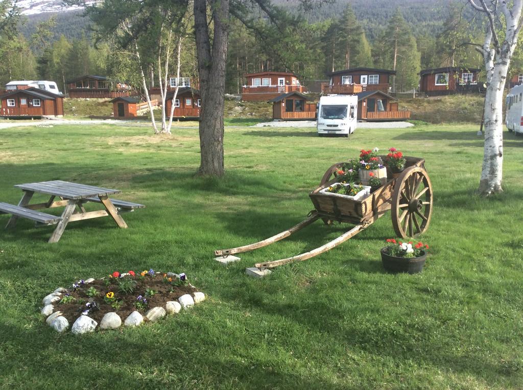 Campingplasser Furuly 3*