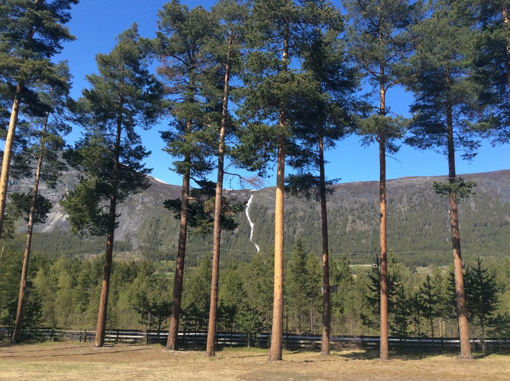 Campingplasser Furuly Nordberg